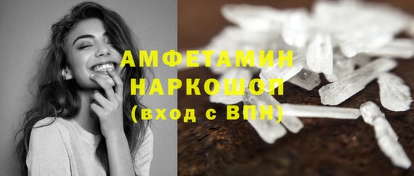 шишки Верея