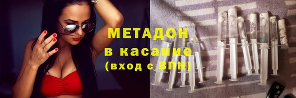 шишки Верея
