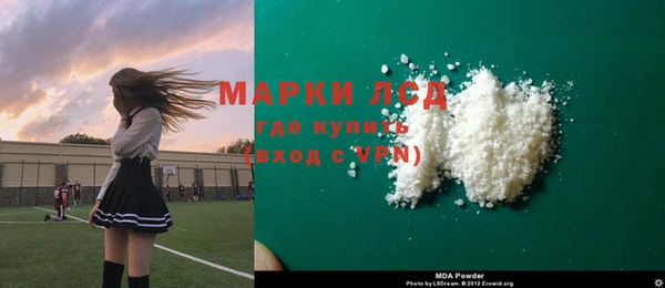 шишки Верея