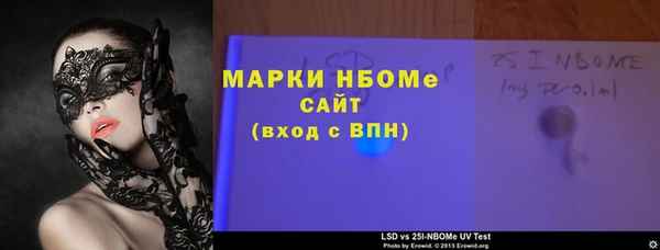 шишки Верея