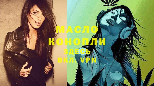 шишки Верея