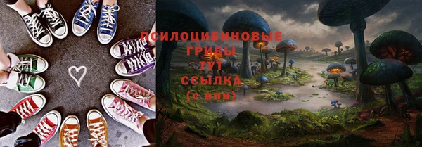шишки Верея