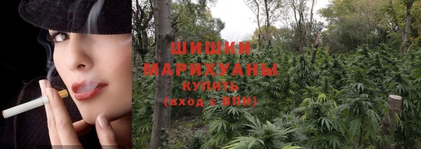 шишки Верея