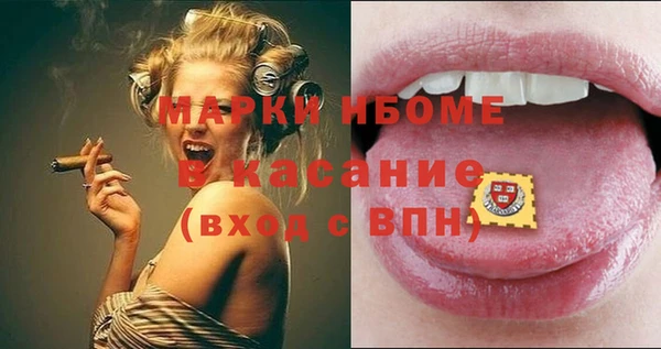 шишки Верея