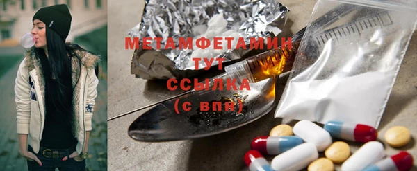 шишки Верея