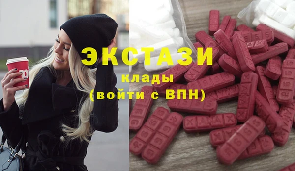 шишки Верея